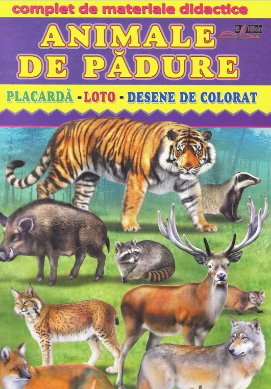 Animale de padure. Placarda-Loto-Desene de colorat