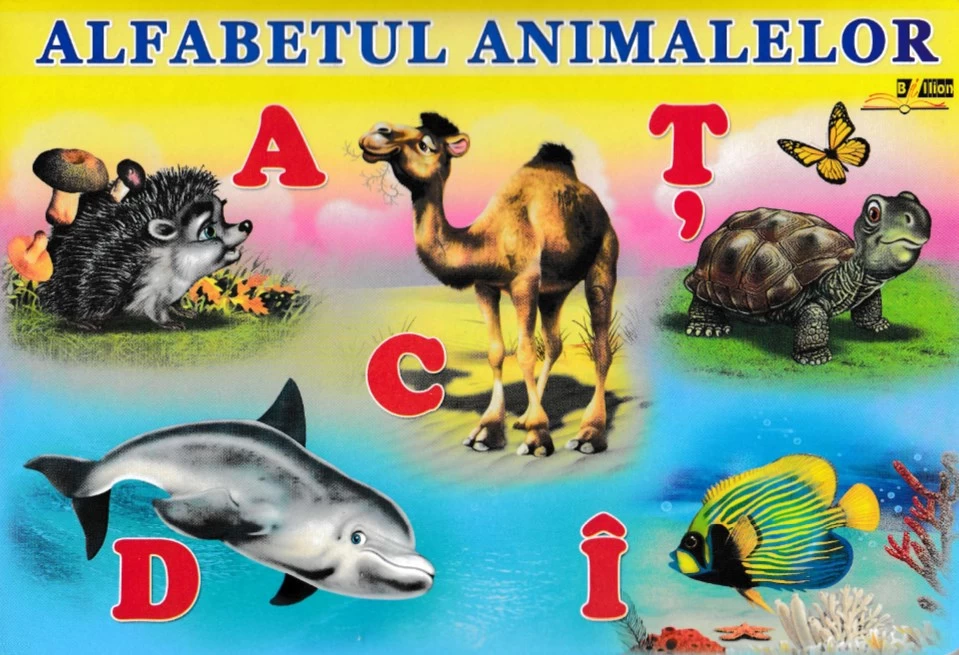 Alfabetul animalelor - Cartonata