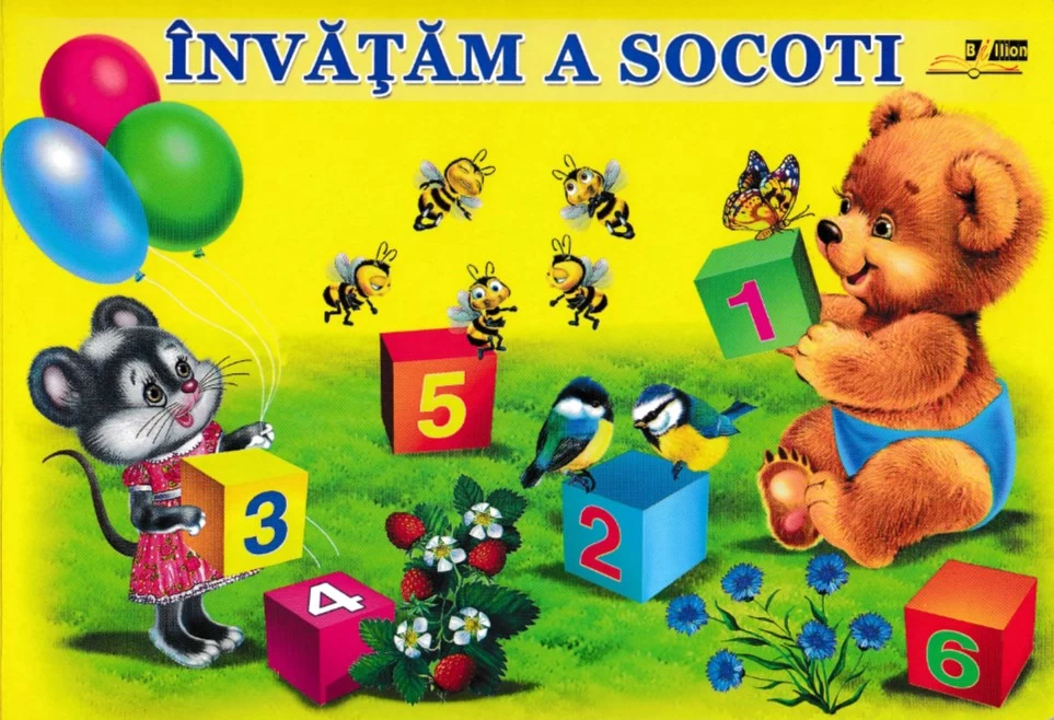 Invatam a socoti - Cartonata